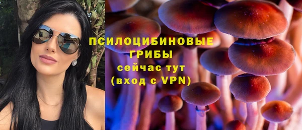 соль ск Новокубанск