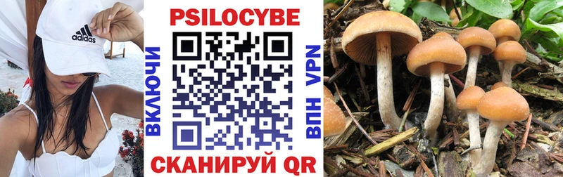 где купить наркотик  Кудрово  даркнет телеграм  Галлюциногенные грибы MAGIC MUSHROOMS 