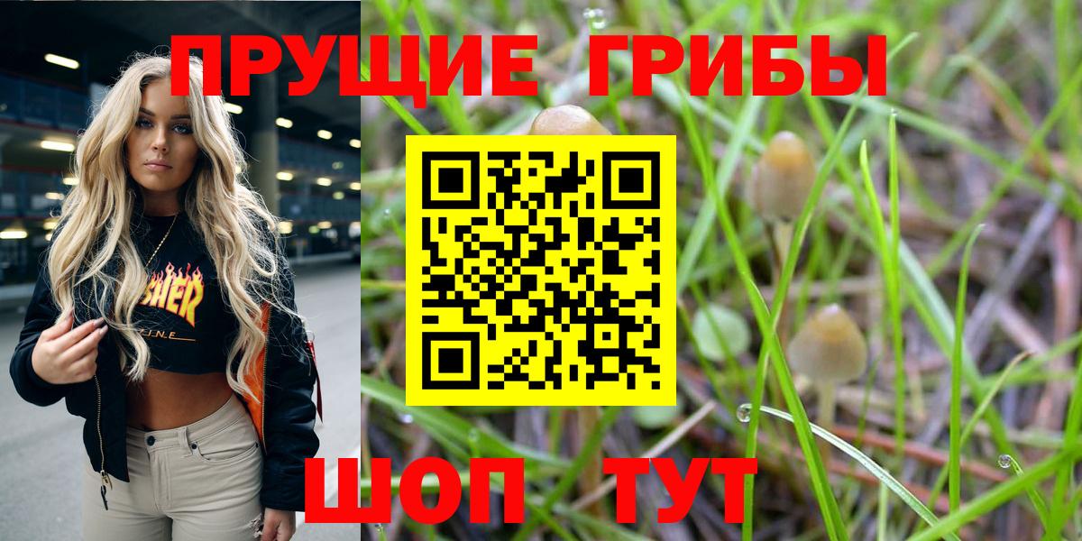 Галлюциногенные грибы MAGIC MUSHROOMS Кудрово